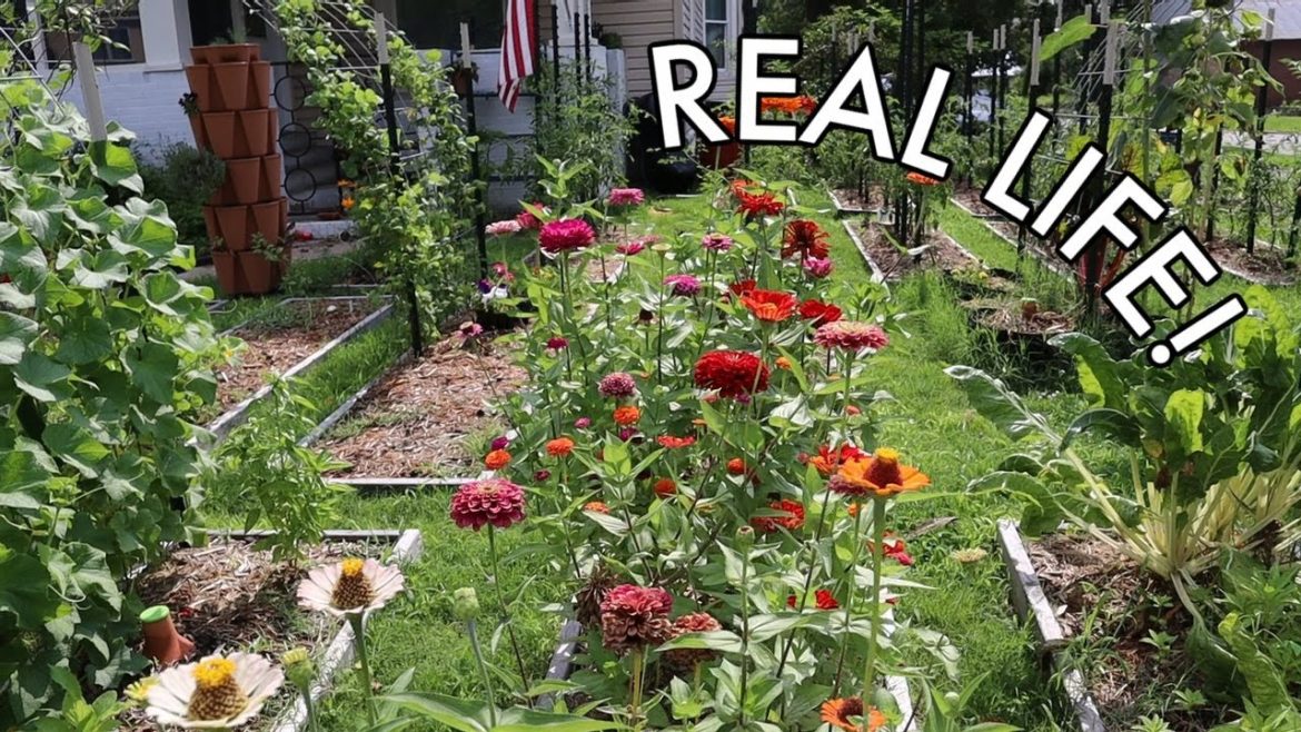 The GOOD, BAD , & UGLY of my URBAN FRONT YARD GARDEN | Homestead Dreaming The GOOD, BAD , & UGLY of my URBAN FRONT YARD GARDEN | Homestead Dreaming