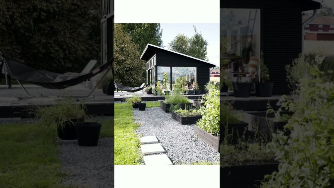 Backyard Design Ideas Backyard Design Ideas
