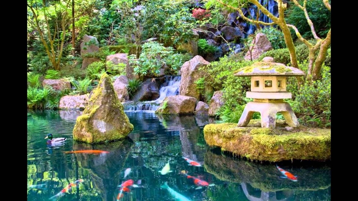 Japanese Garden