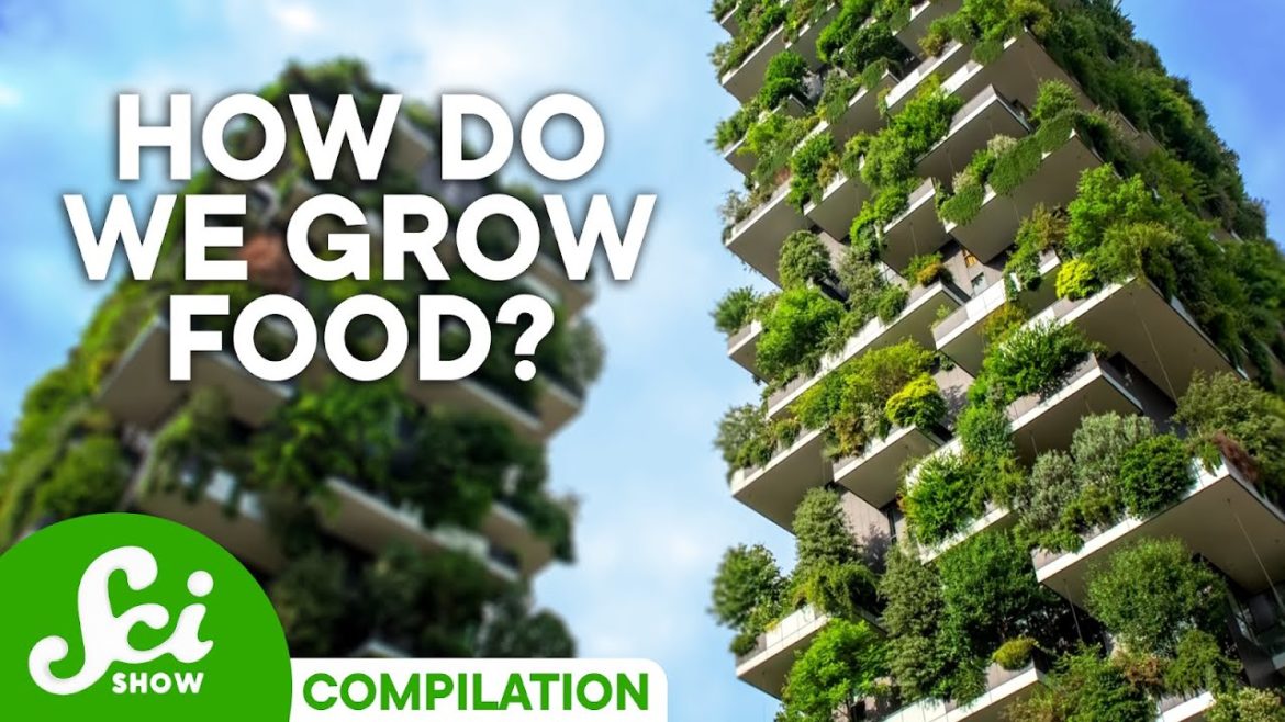 Is Old-School Gardening the Future of Food?