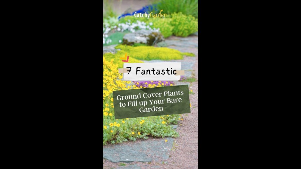 7 Fantastic Ground Cover Plants to Fill up Your Bare Garden 🌷🌱🌻 // #short #shorts