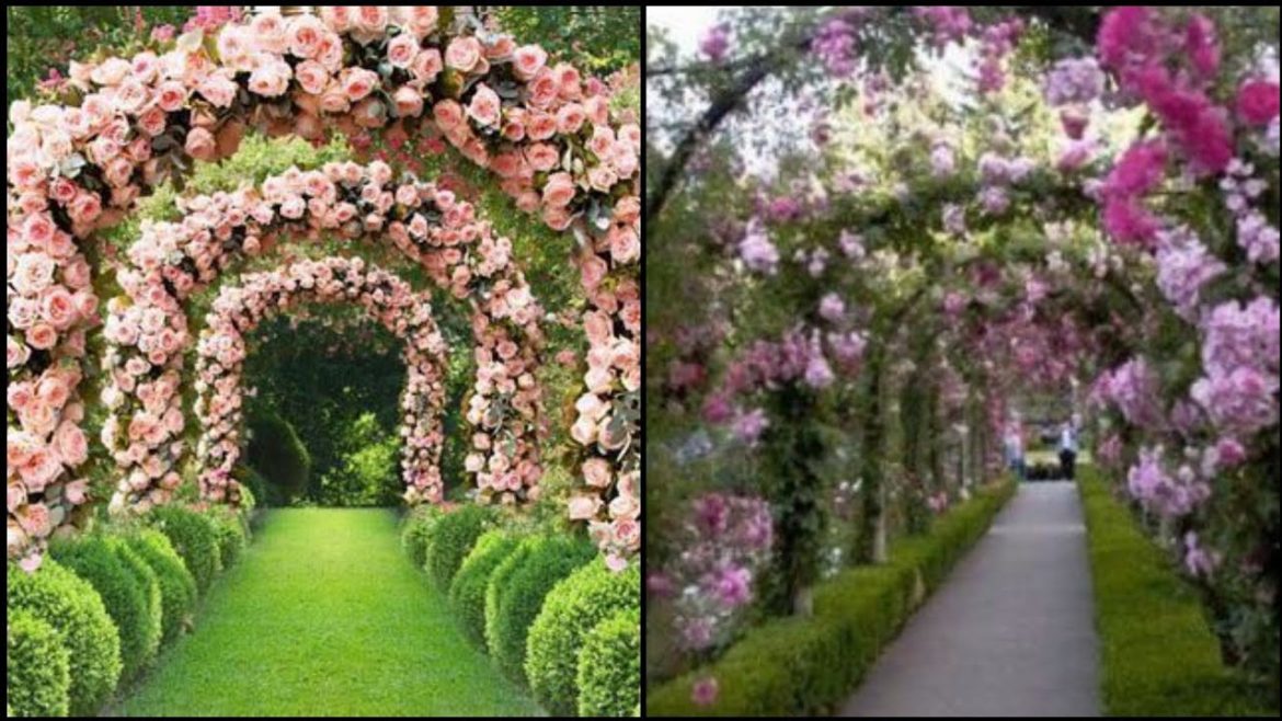 Garden stylish and beautiful Arch design-garden design and ideas