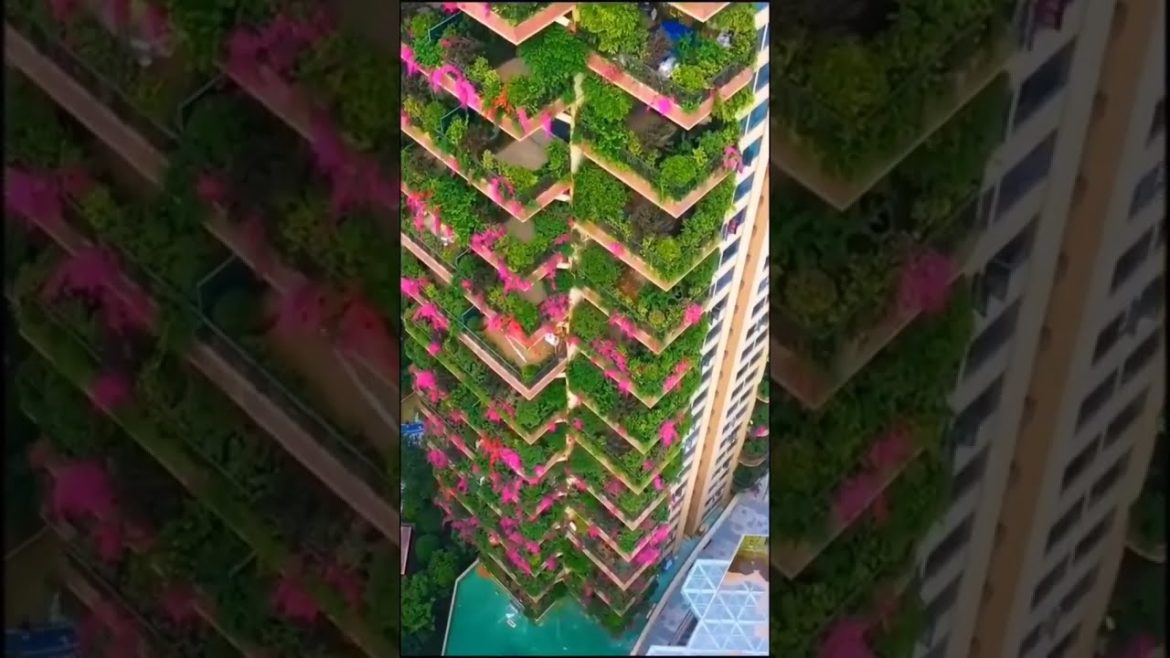 The fourth generation house that became an Internet celebrity appeared in Chengdu