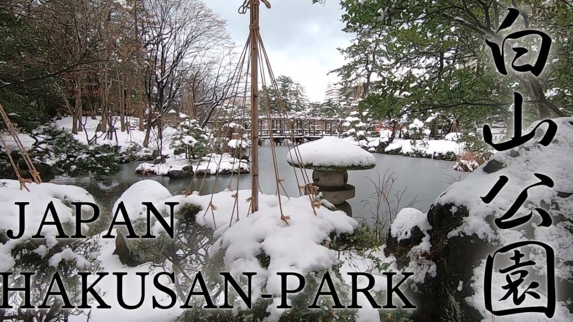 [Japan Snowfall] Walk in a beautiful Japanese garden with a snowy landscape, Niigata