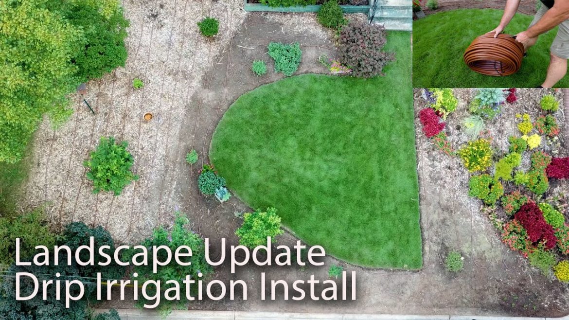 Drip Irrigation Install - Landscape Update