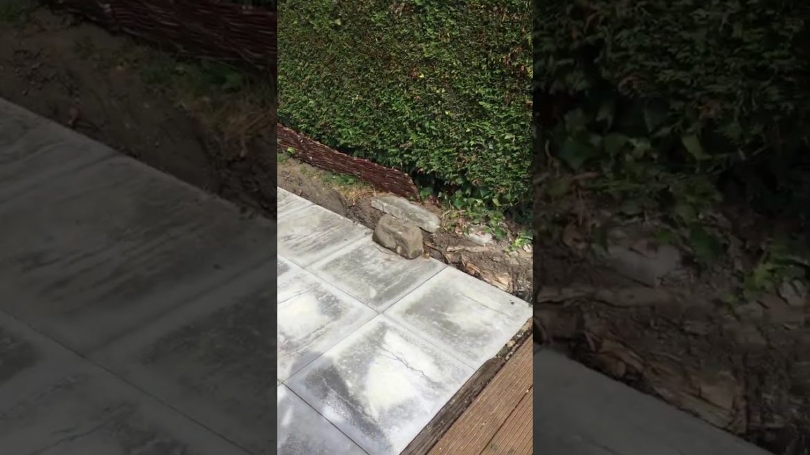 Landscape Gardening Services Leeds Covering The Whole Of West Yorkshire TM Landscapes.