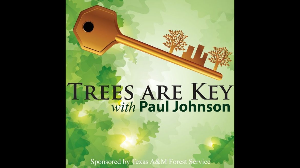 Key Tips for Picking & Planting Trees |Paul Johnson |Central Texas Gardener
