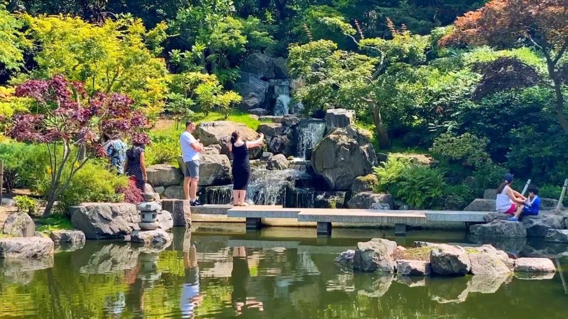 LONDON WALKING TOUR | BEAUTIFUL HOLLAND PARK JAPANESE GARDEN