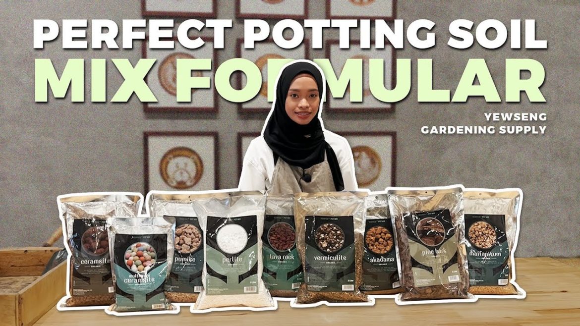 Perfect Potting Soil Mix Formular for 90% of Plants | YEWFEX Pot Mix