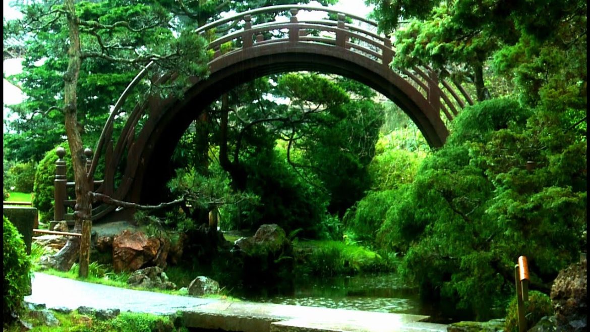 Zen Garden Rain- Relaxation, Peace & Meditation (no music, just rain) Zen Garden Rain- Relaxation, Peace & Meditation (no music, just rain)