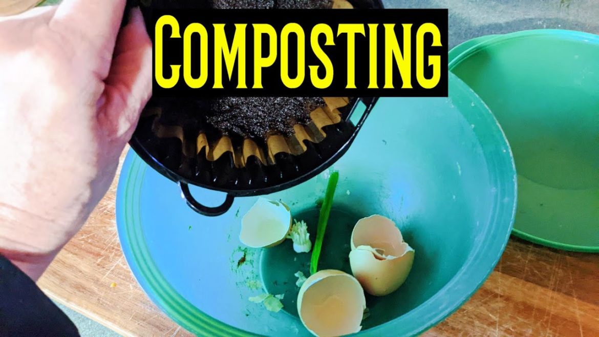 Composting for Beginners | The Dirt | Why You Should Home Compost