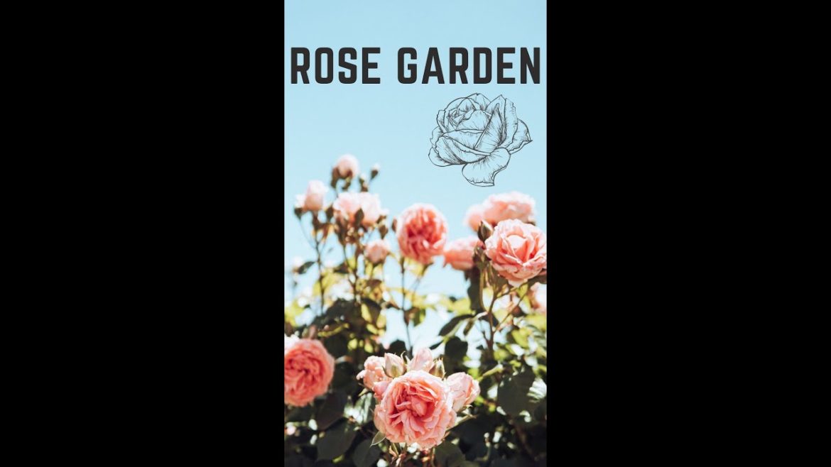 English Rose Country Garden Design Ideas #YoutubeShorts #Shorts Landscape Design Makeover Garden Ren English Rose Country Garden Design Ideas #YoutubeShorts #Shorts Landscape Design Makeover Garden Ren