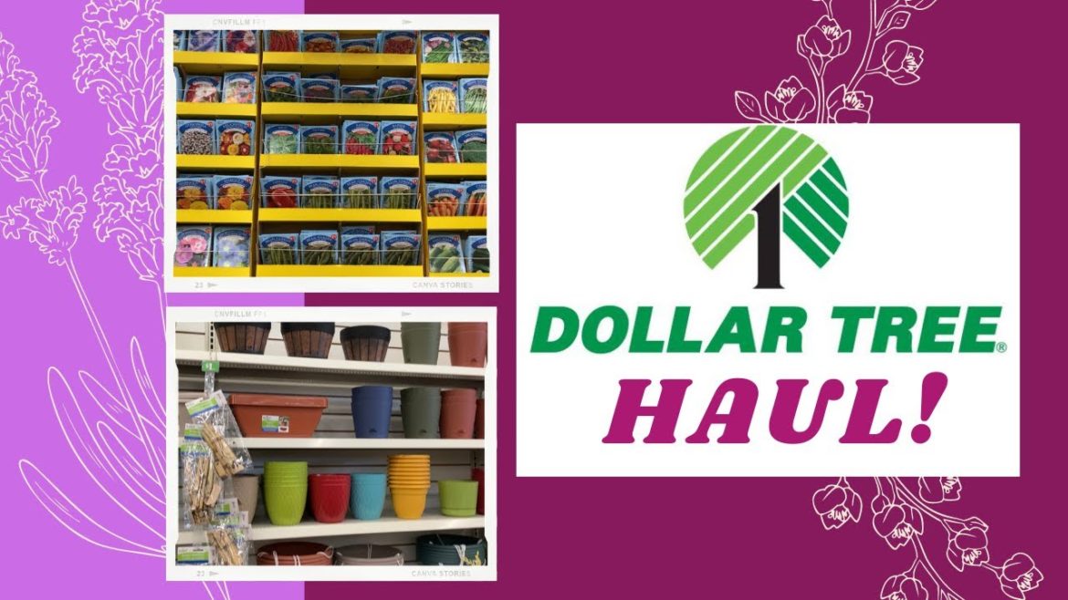 How To Garden on a Budget | Dollar Tree Gardening Haul 2021