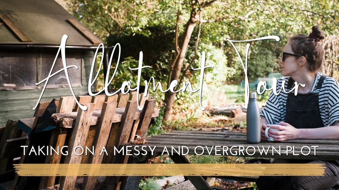 Vegetable Garden Tour | BEFORE Clearing Our MESSY PLOT | Starting an Allotment | No Talking Vlog Vegetable Garden Tour | BEFORE Clearing Our MESSY PLOT | Starting an Allotment | No Talking Vlog