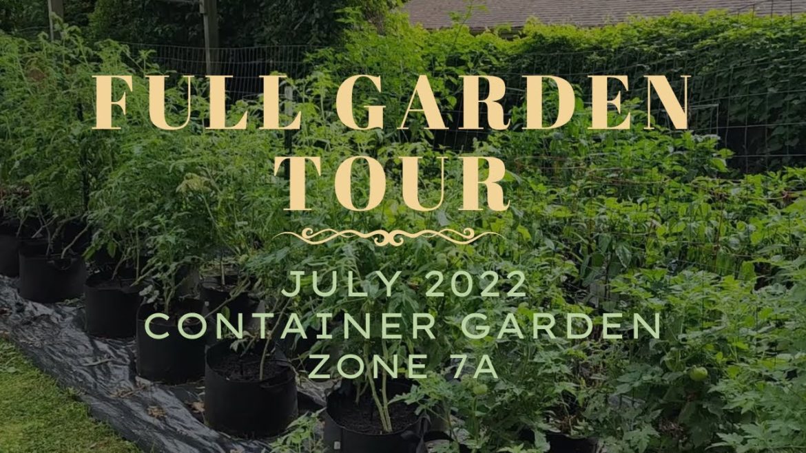 July 2022 Garden Tour  | Container Garden Zone 7A July 2022 Garden Tour  | Container Garden Zone 7A