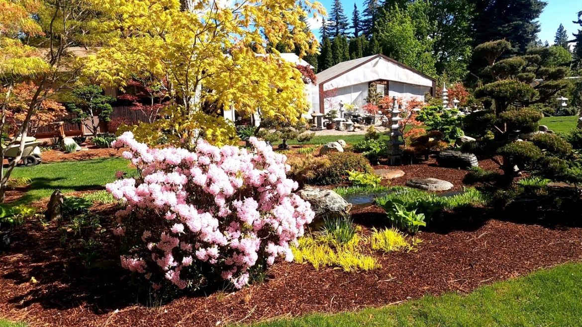 Wabi Sabi Japanese Garden Walk Through in Early Spring