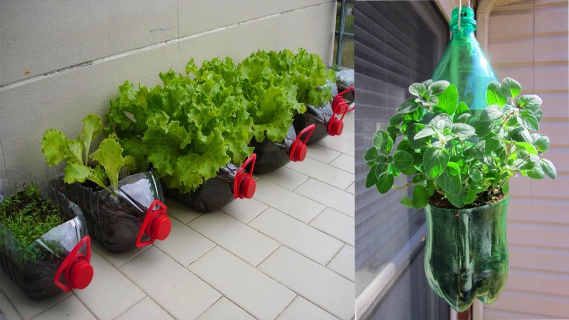 Amazing Bottles Garden Design Ideas - Hanging Plastic Bottle Garden plants