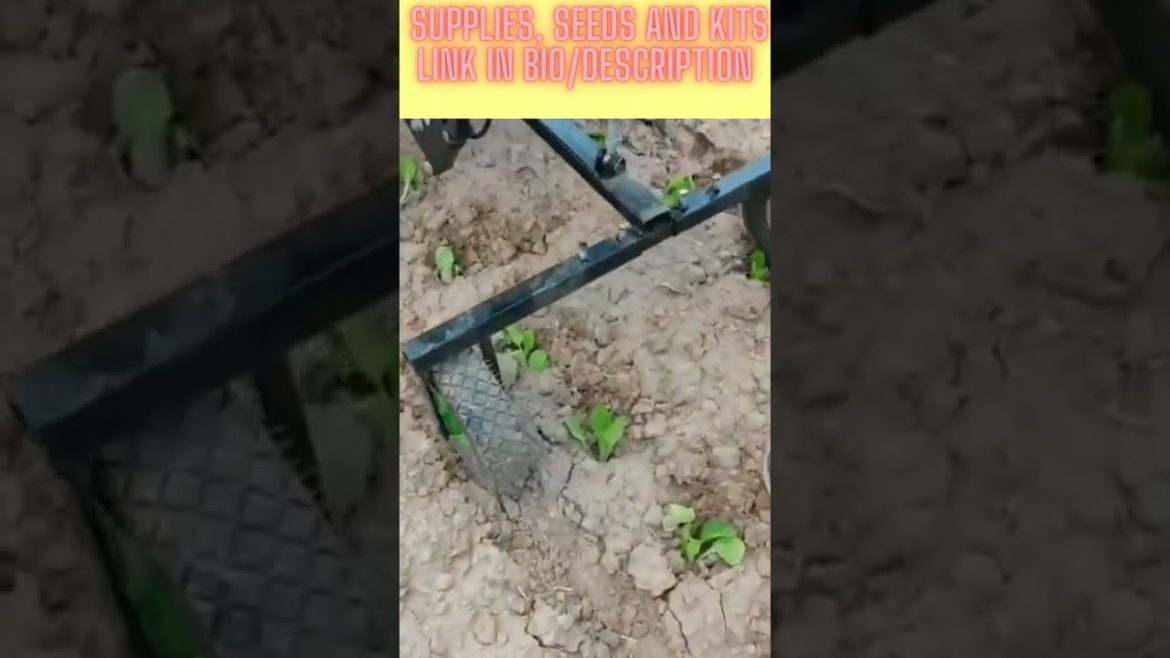 Joy Ride Gardening - Mechanical Transplanter  #shorts