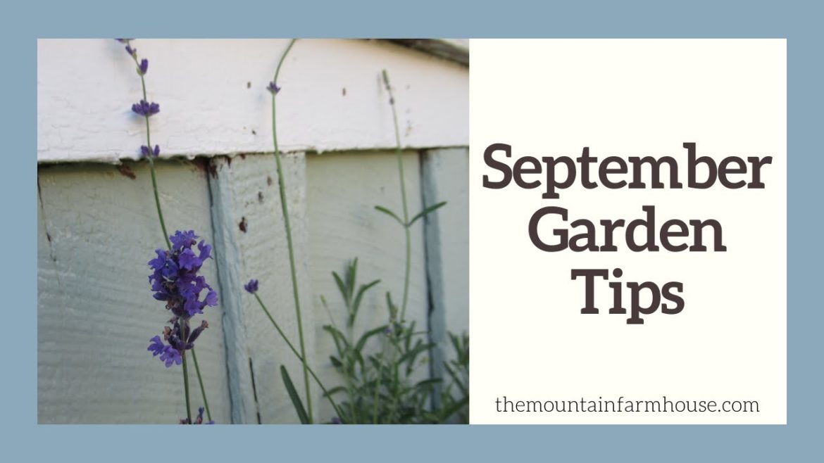 September Garden Tips