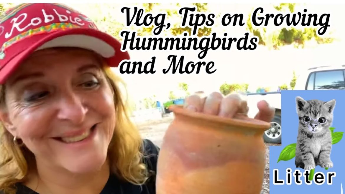 FALL Planting, Contain Gardening Hummingbirds Taking a Garden Break MAKING Life Easy Hallmark Movies