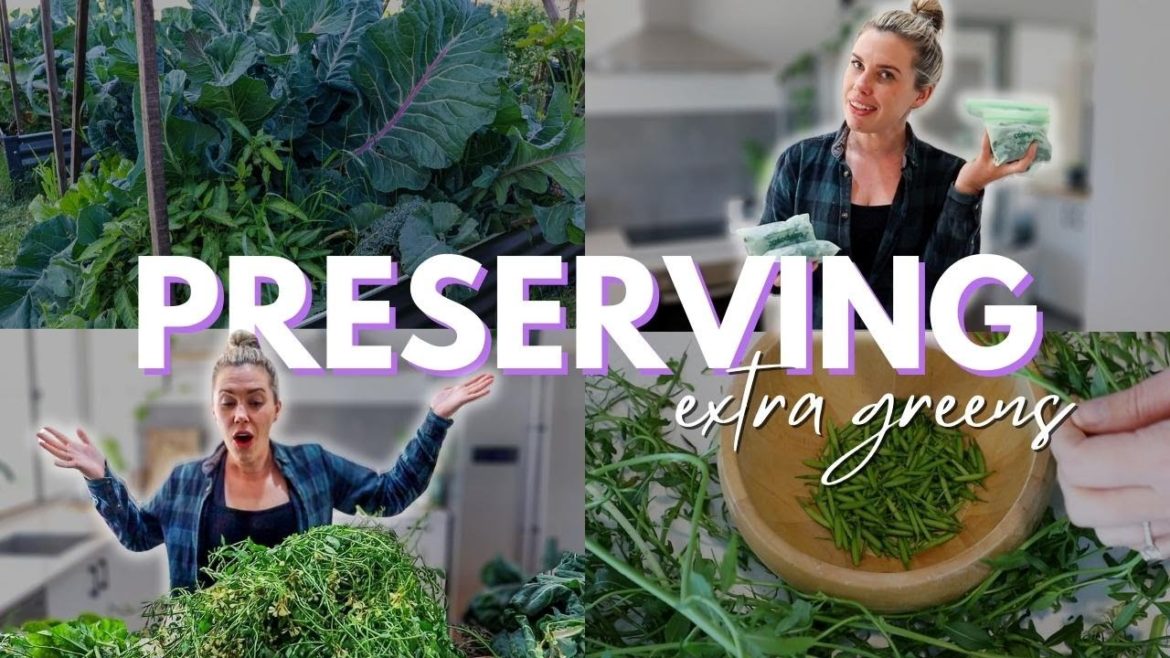 Garden Harvest and Preserve – Simple ways to preserve extra leafy greens and Arugula seed pods Garden Harvest and Preserve - Simple ways to preserve extra leafy greens and Arugula seed pods
