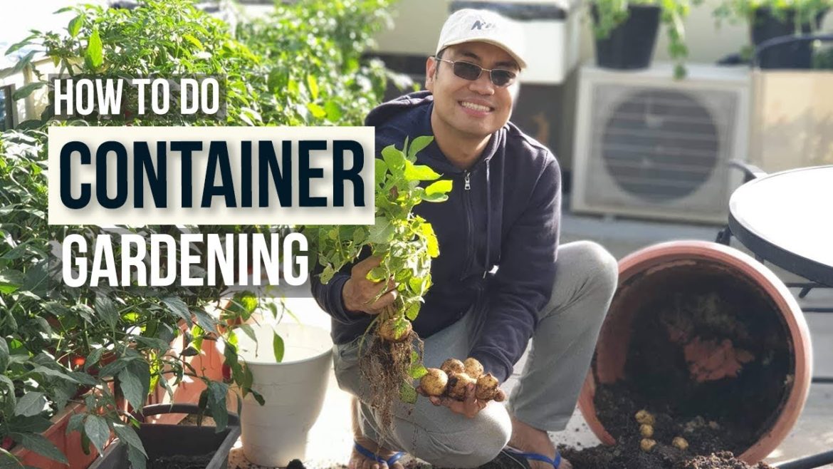 HOW TO DO CONTAINER GARDENING (Easy To Do!) SIMPLENG PAMAMARAAN NG PAGTATANIM HOW TO DO CONTAINER GARDENING (Easy To Do!) SIMPLENG PAMAMARAAN NG PAGTATANIM