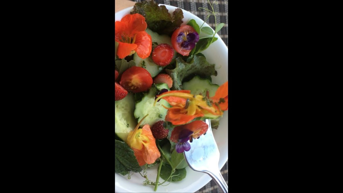 Small container garden harvest & fresh salad 🥗