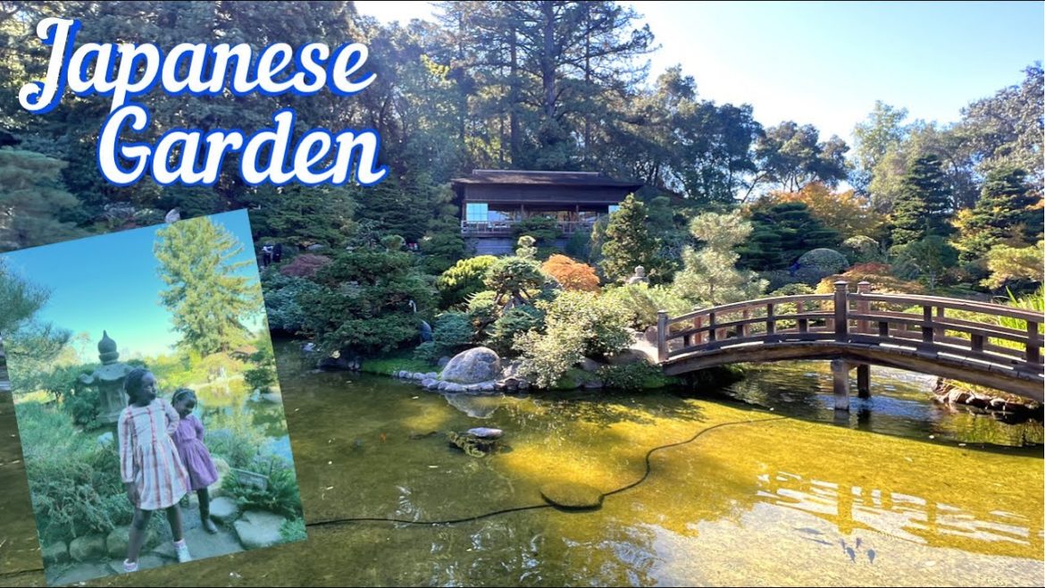 Picnic || Japanese garden #koifish #japanesegarden #sundayfunday #family #fun #love