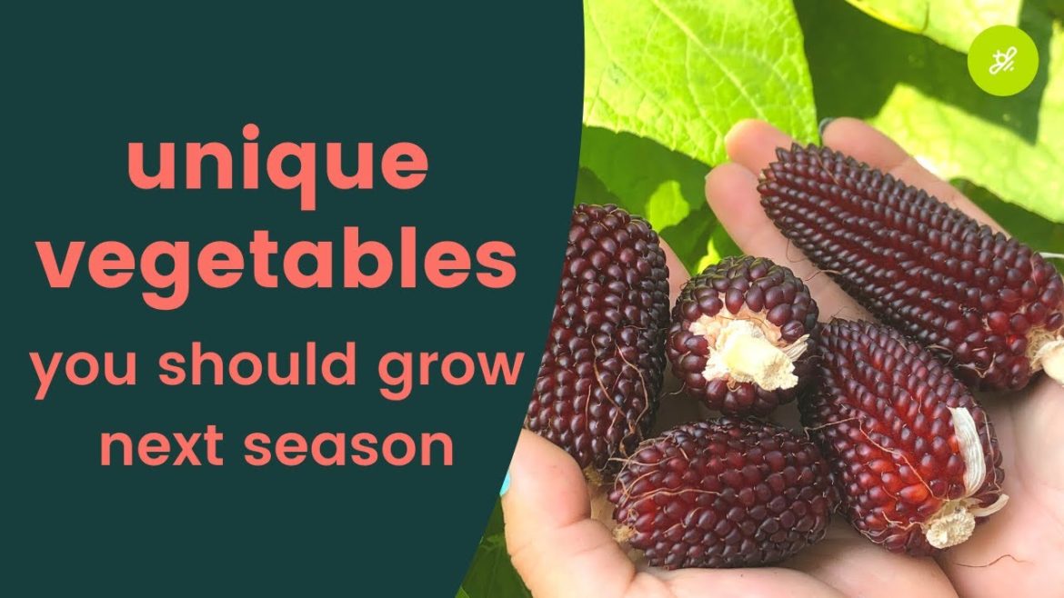 Unique and Rare Veggies You Can Grow