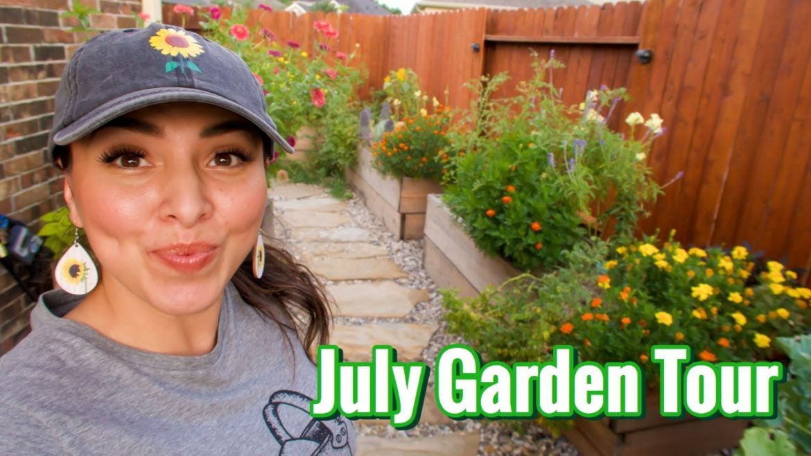 Vegetable Garden Tour 🥒🌶🥕🥦/ Backyard Garden / Summer Heat Issues / July 2020