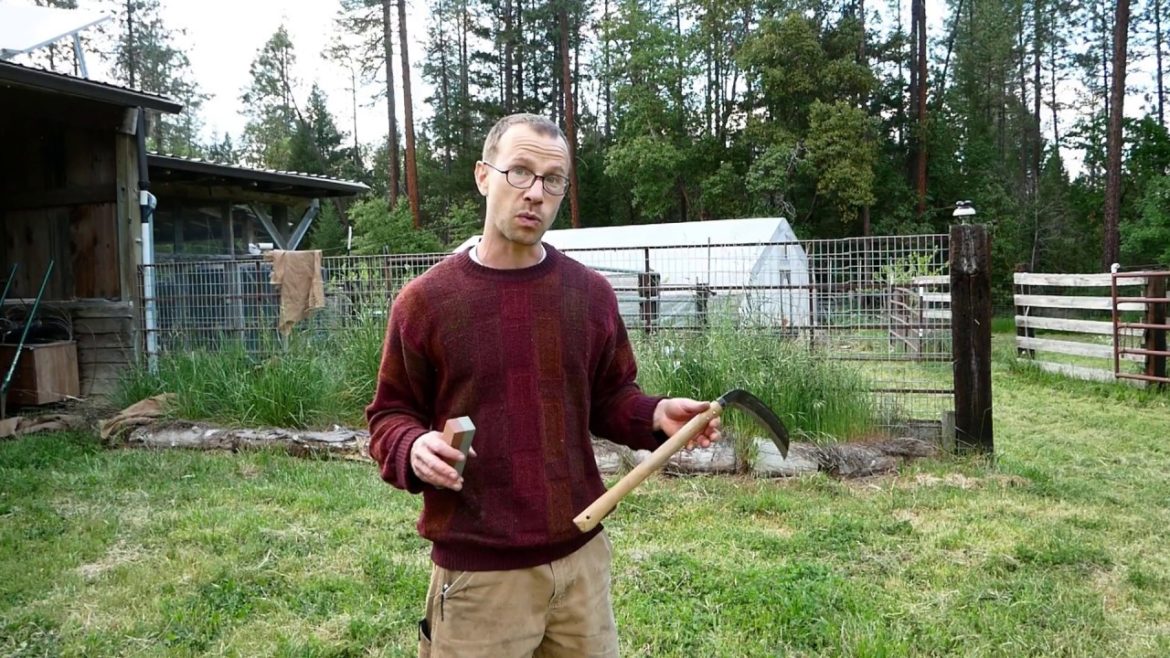 How to Sharpen a Japanese Sickle –  An In-Depth Guide How to Sharpen a Japanese Sickle -  An In-Depth Guide