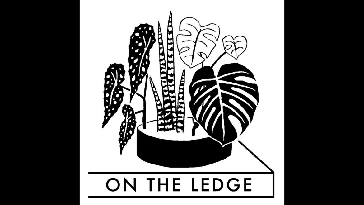 On The Ledge Podcast episode 72: Dutch houseplant adventures part one