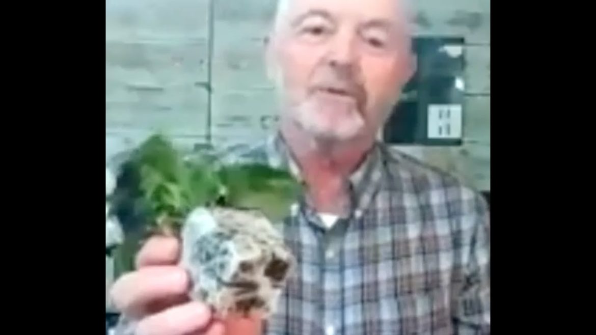 Home Gardener - Vegetable Garden Tips and Tricks