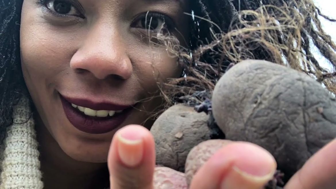 How To Grow Potatoes In Containers / Container Gardening 2021