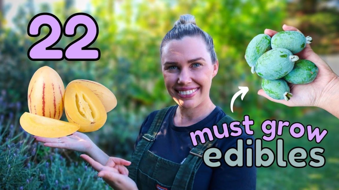 22 Edible Perennial Plants for Abundant Edible Gardens ๐ 22 Edible Perennial Plants for Abundant Edible Gardens ๐