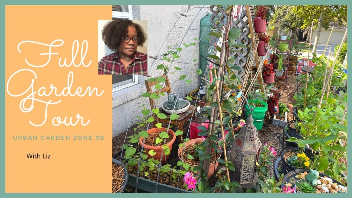 Liz's Small Space Urban Florida Container Garden,  Zone 9b Garden Weekly Update May 10 Garden Tour