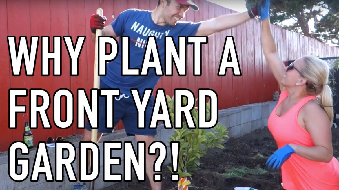 Why Plant A Front Yard Garden?!