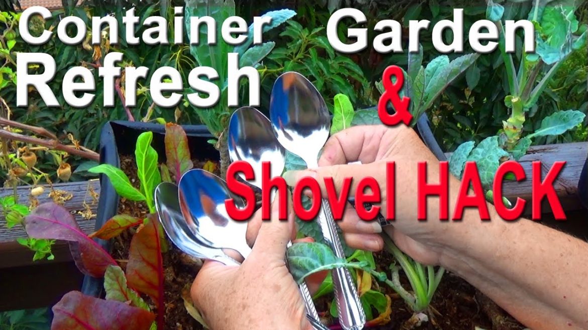 How to REGROW in Old Container Garden Vegetables ALL Year MAKE Compost VERTICAL Gardening POT Plants