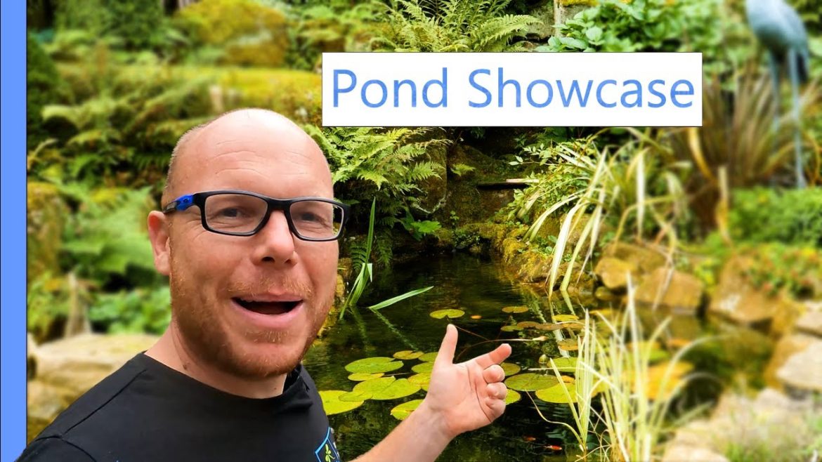 Garden Pond Showcase in Leeds Garden Pond Showcase in Leeds