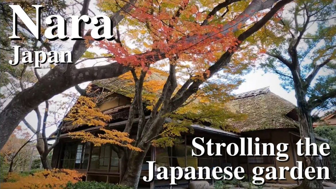 【4K/Strolling the Japanese Garden】Isuien Garden – Nara(Dec.1.2021) 【4K/Strolling the Japanese Garden】Isuien Garden - Nara(Dec.1.2021)