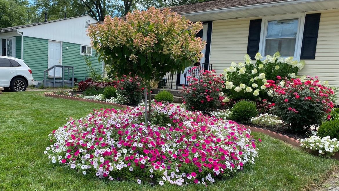 Front yard Garden tour 🌸🌸🌸