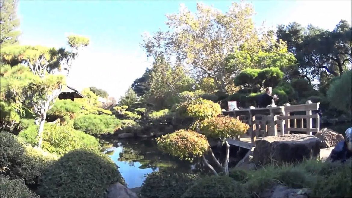 Hayward Japanese Garden and Pond