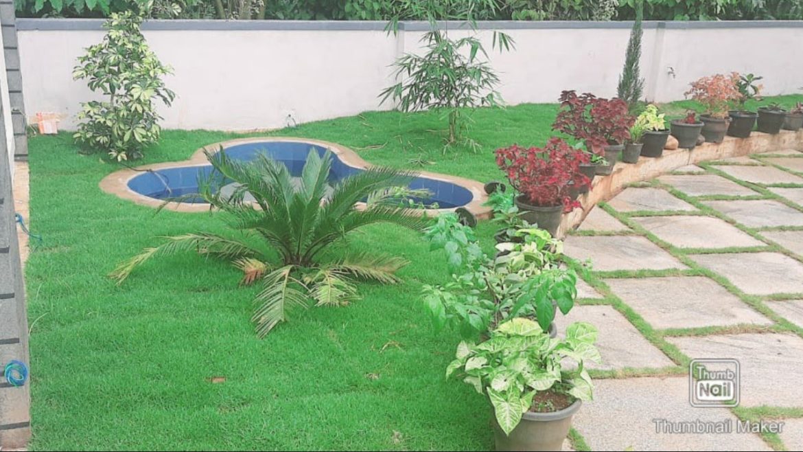 modern landscape model/ law maintenance front yard/landscape scape design for home