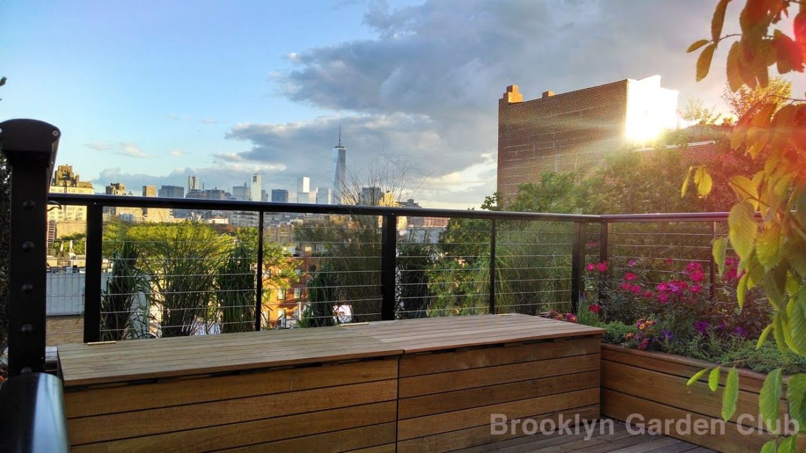 Imported from The Hudson Valley   - Brooklyn Landscapes