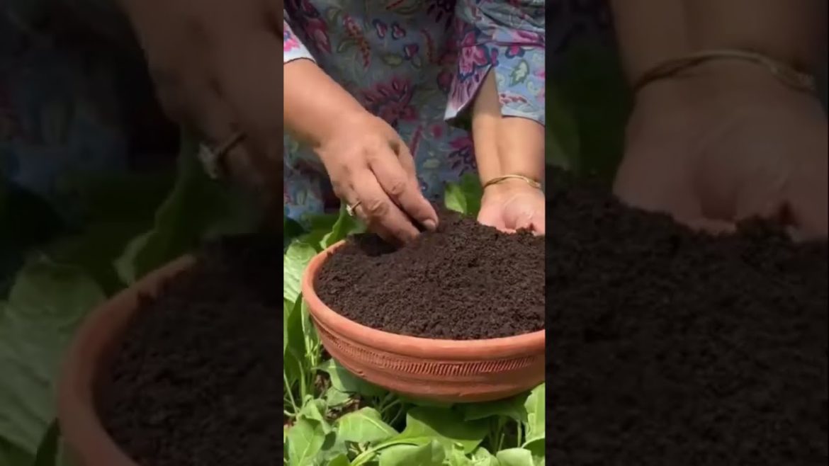 कैसे बड़े बड़े होते हैं ये