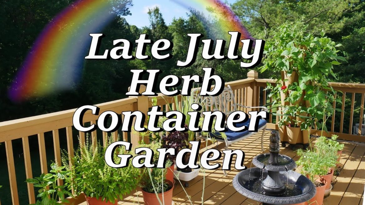 Late July Herb Container Garden Tour, Basil, Greenstalk, Zinnias, Perilla, Dill, More!
