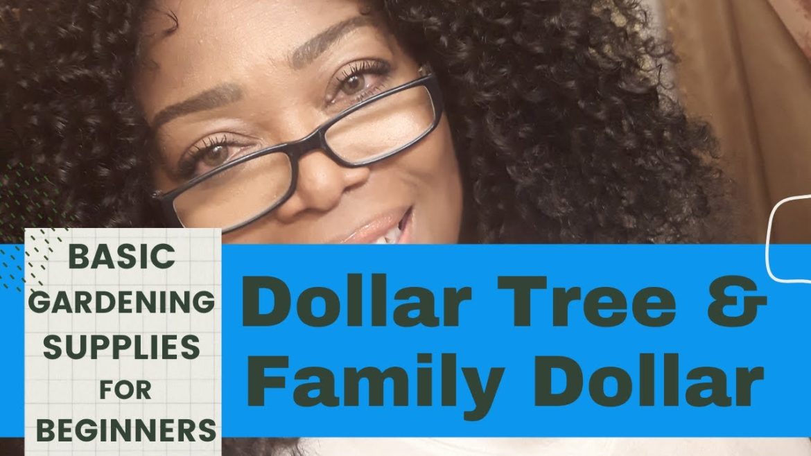 Basic Gardening For Beginners Family Dollar and Dollar Tree Review / The Necessary Gardener #2
