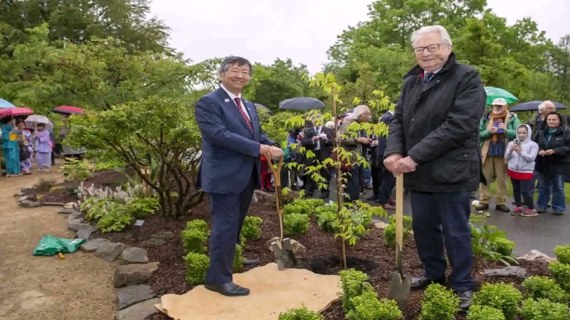 Japanese Garden Designers Near Me