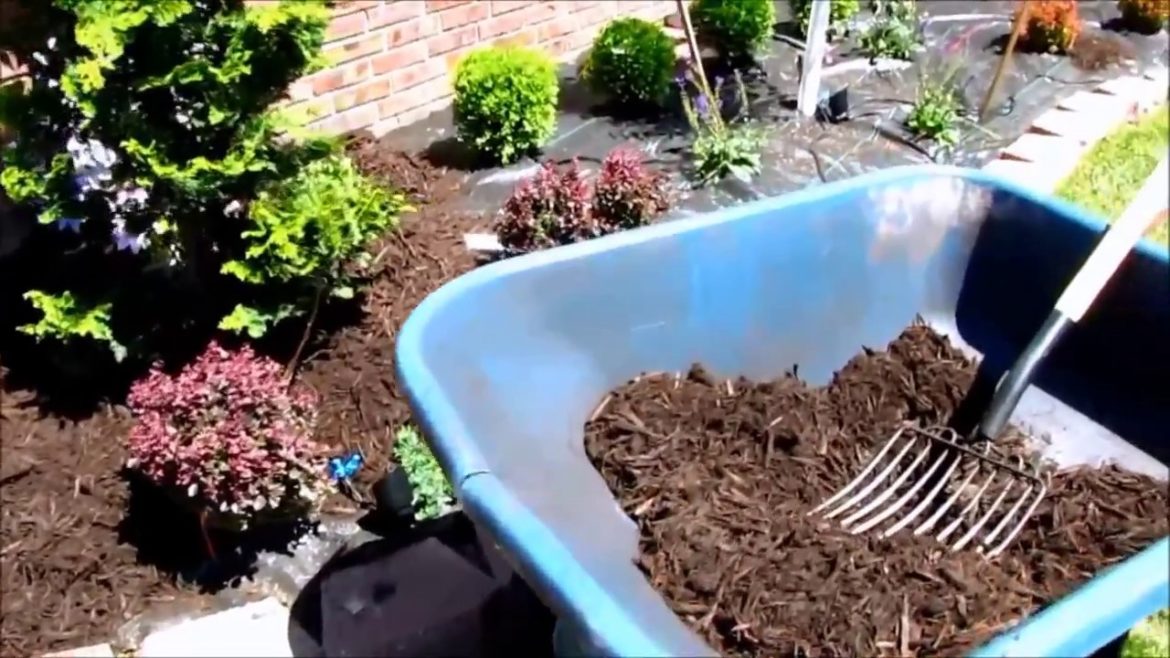 How to Landscape Front Yard in hours  425 406 0424 Bothell, Mill Creek, Lynnwood