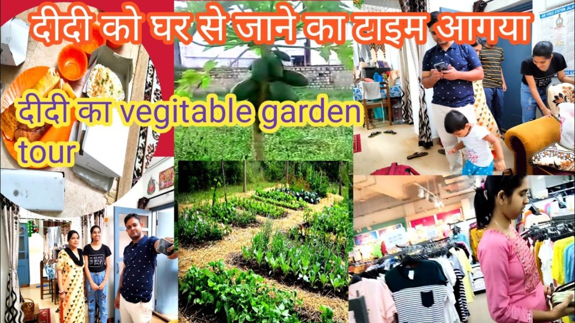 Didi ke Ghar se jane ka time aagya/vegetable gardening/shopping in vishal/हम चाले भाई को घर Didi ke Ghar se jane ka time aagya/vegetable gardening/shopping in vishal/हम चाले भाई को घर